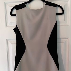 French Closet Two Tone Dress